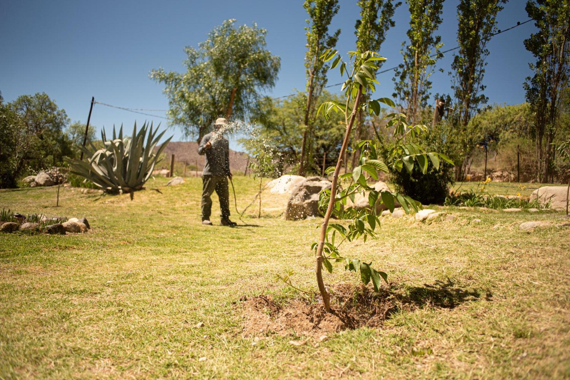 Loma Puskana - Casas Cachi